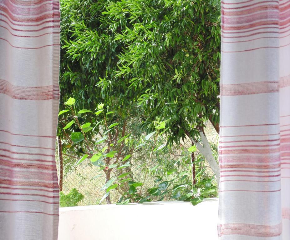 Villa Melini Patitírion Rum bild